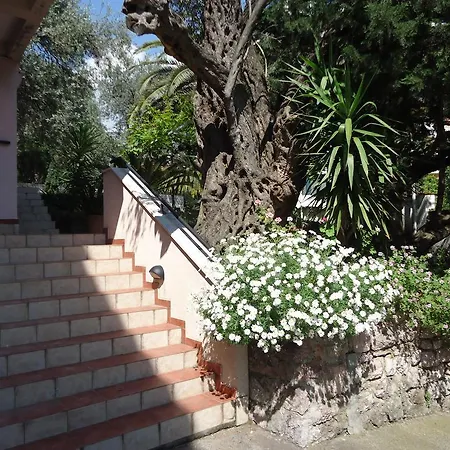 Apartment Anastasija Budva